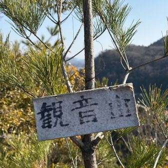 観音山登頂