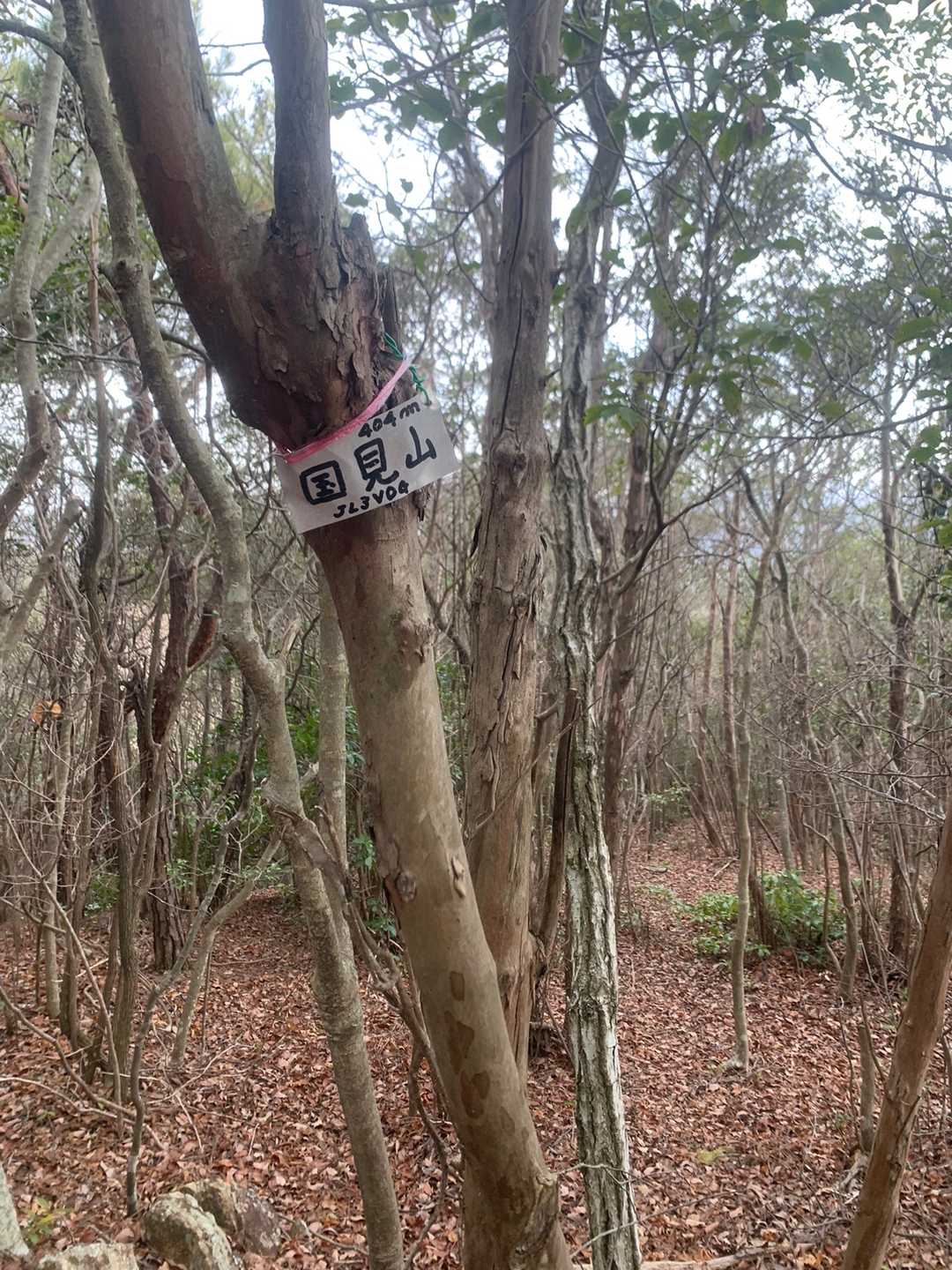国見山⛰というくらいなので
ナイスな眺望を……
期待していましたが😂

まあ〜山頂付近はこんな感じです😎
