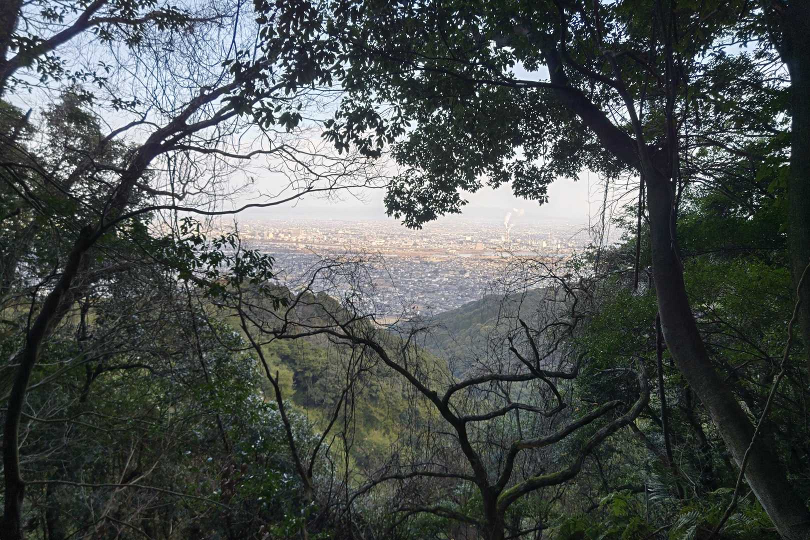 ちょっとした急登前の景色🤩
このあとのロープ場、写真に撮り忘れ😅
動画には残ってます👍