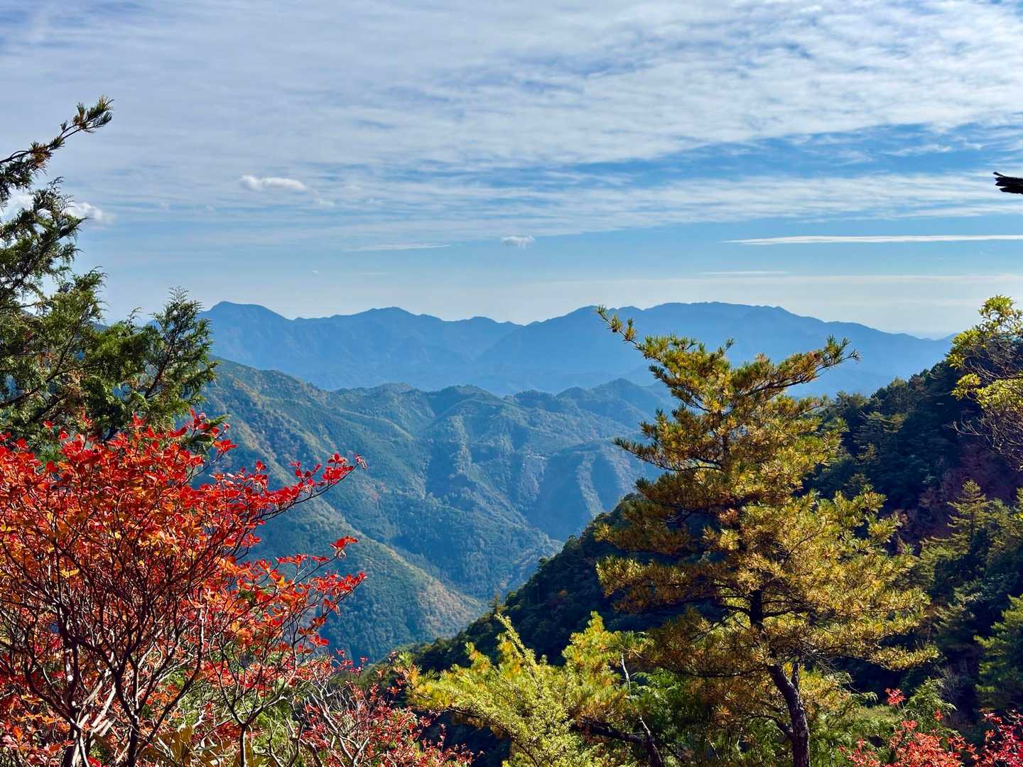 子ノ泊山が見えてるはず