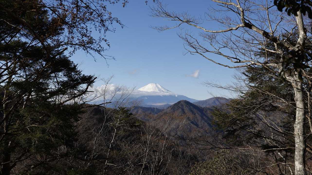 展望園地からの富士山