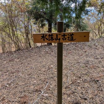 この辺は「水落山古道」というらしい。