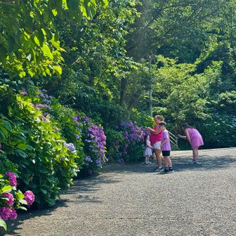 なにやら、アジサイの色みたいな服を着たファミリーがアジサイを撮影してる...

観音崎公園をひと回りしてみます