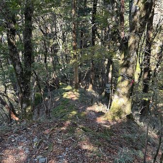 下山します

ここを過ぎたあたりから、赤石山系方面でヘリの飛ぶ音がしばらく聞こえていた