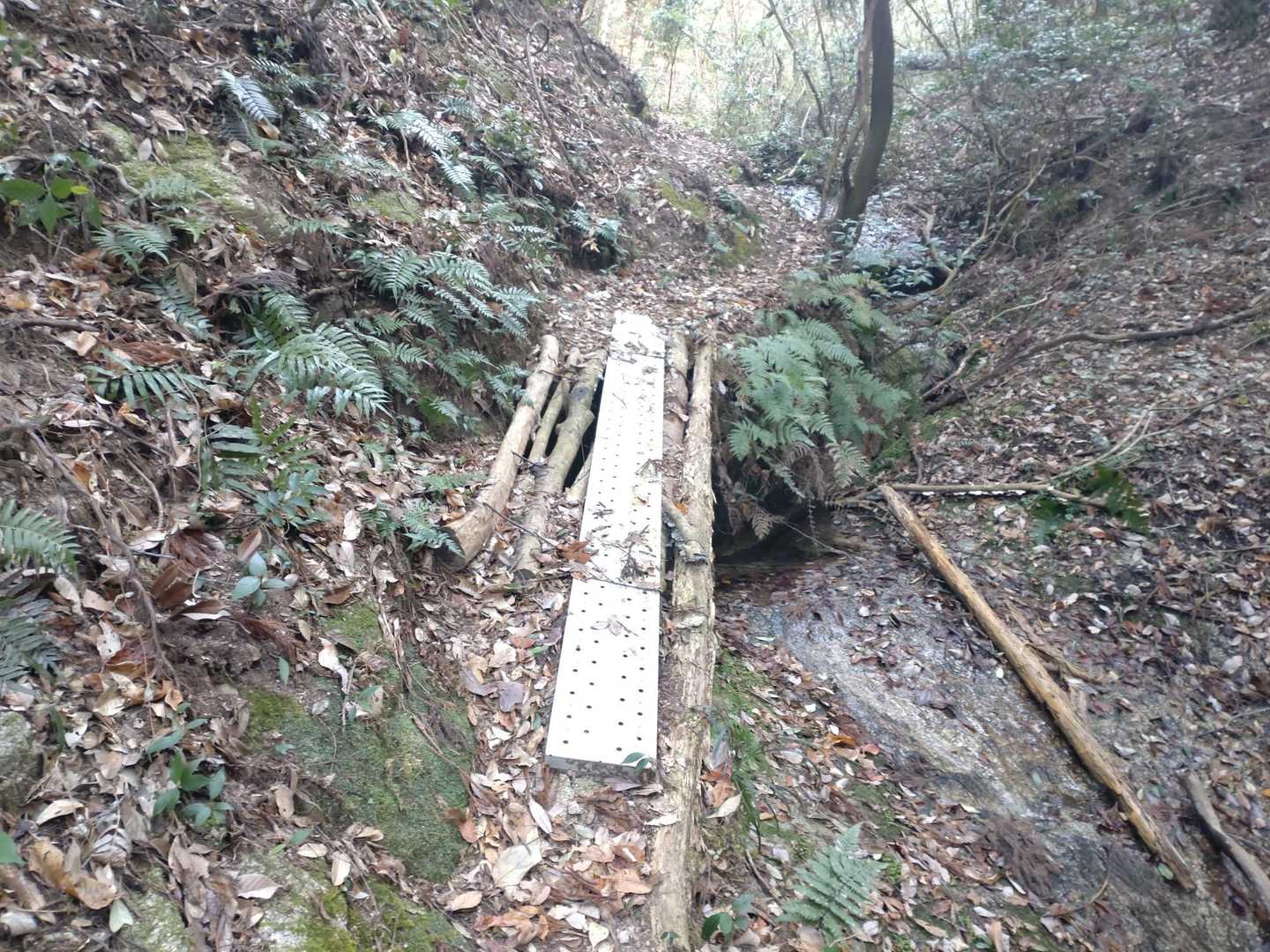 途中の橋？①