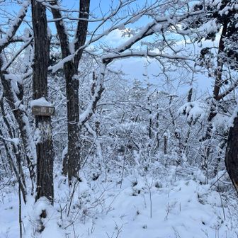 青野からは足首〜膝下位の積雪。ツボ足で何とか