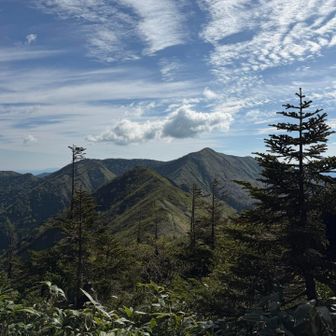 白砂山見えました！あの稜線を歩ける！