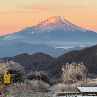 朝の富士山
ピンクがかって綺麗だった🗻