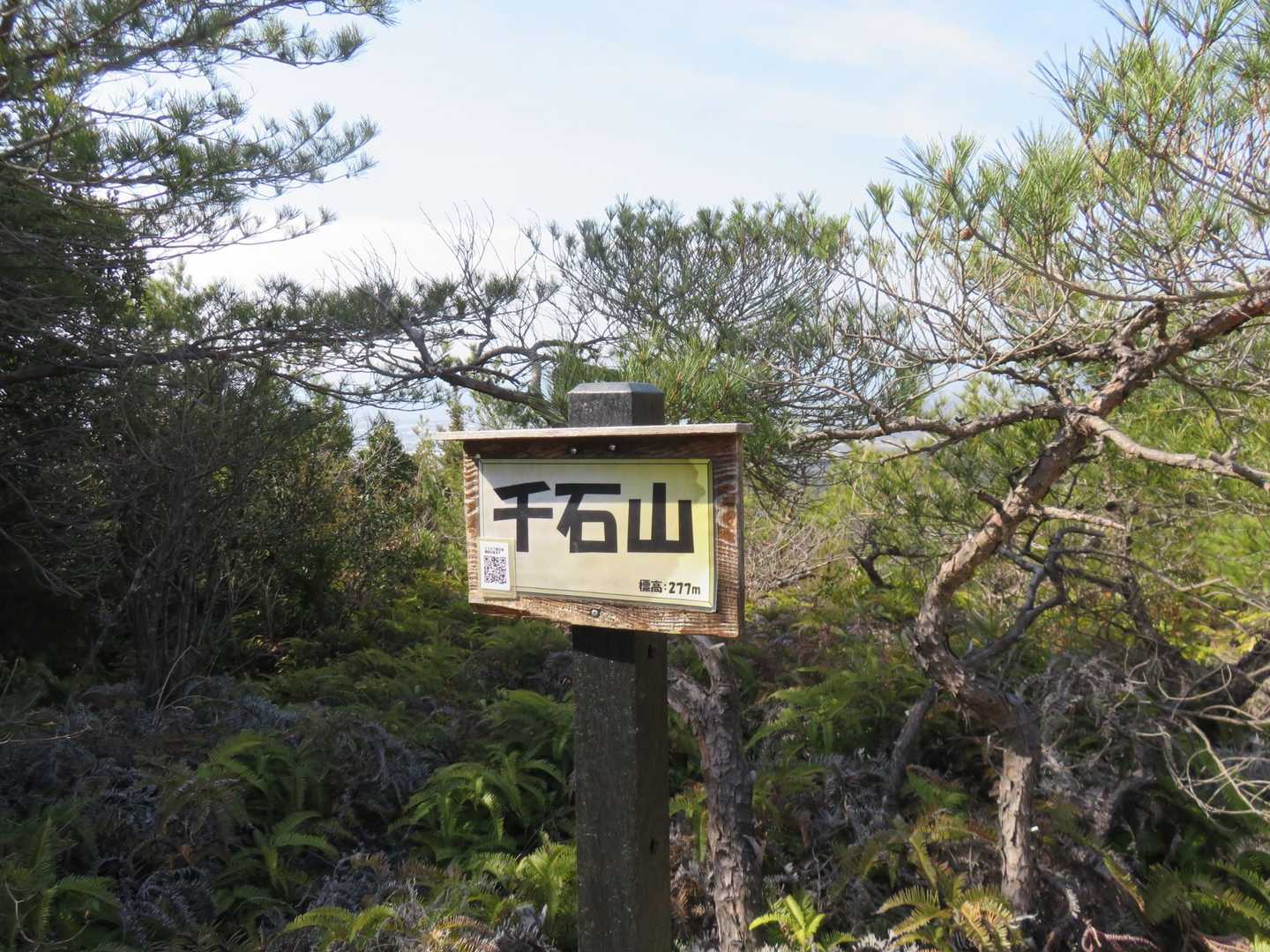 千石山です