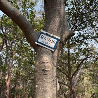 途中右手に　なかみ山ピーク