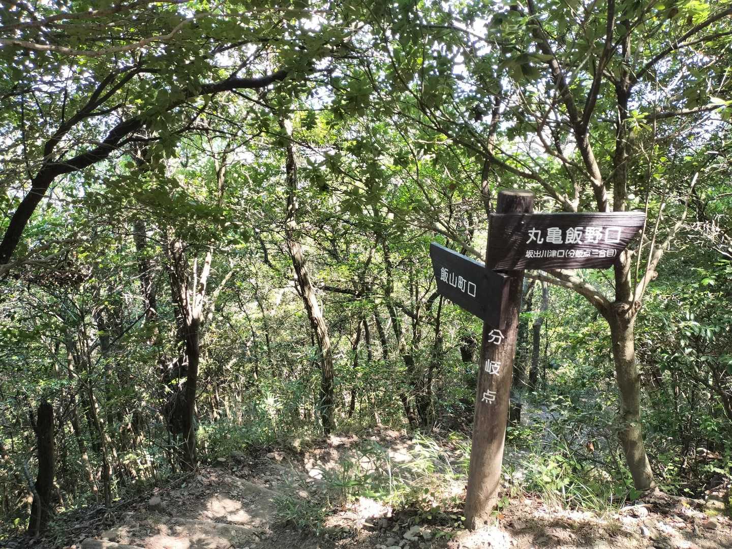 この分岐で2つの登山口から頂上迄のルートは繋がります👉