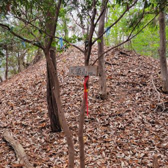 天満山山頂