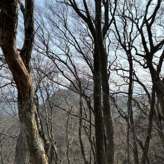 目指す山見える⛰️