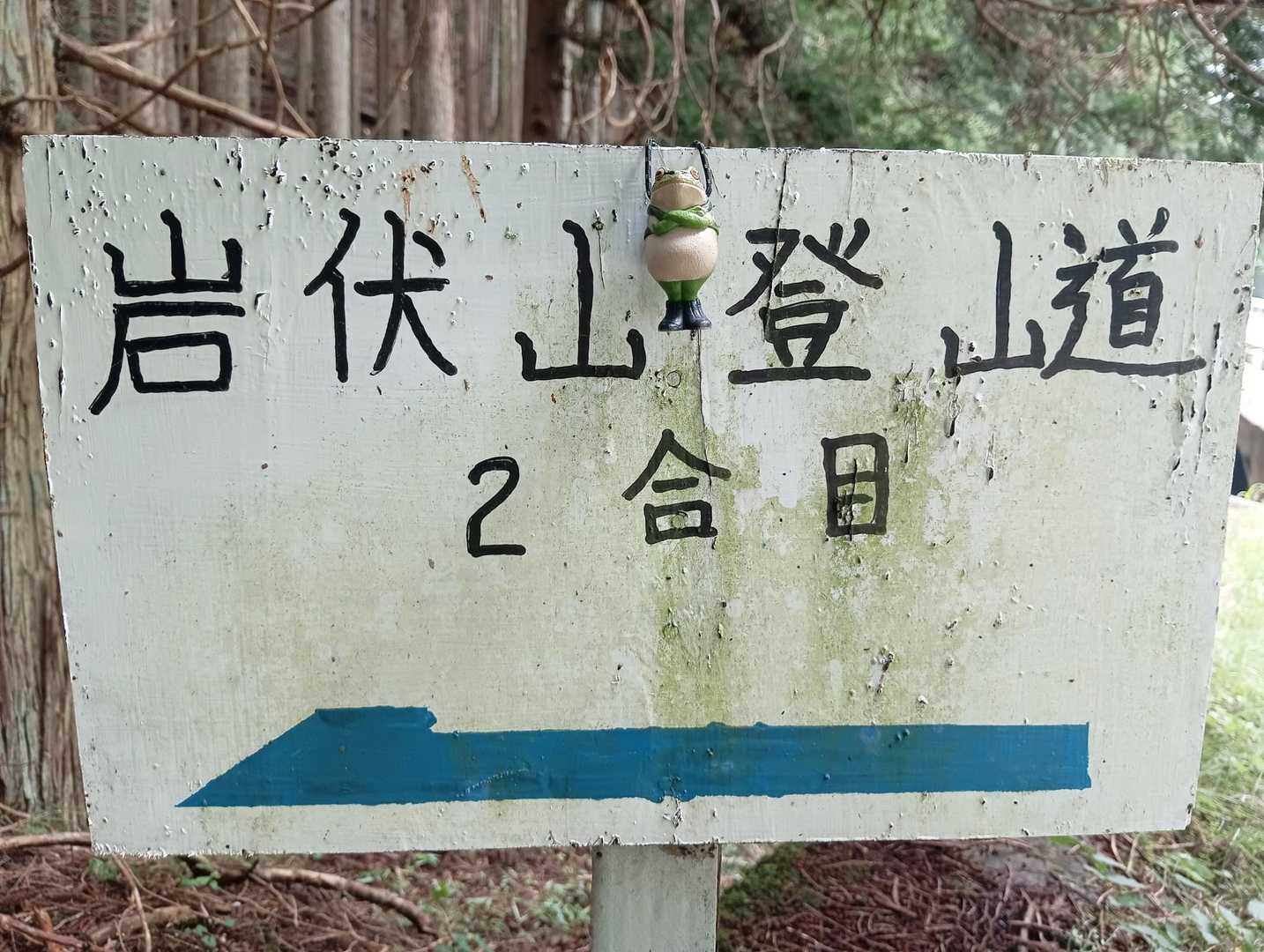 標識と同行者🐸