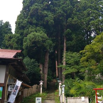 夏詣中、中の宮