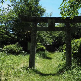 琴平神社　荒れている。
流石に神社周りは草取りされていたけど