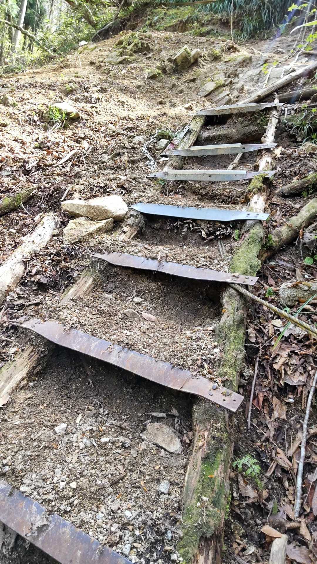 なんか毎年毎年だんだんと角度が変わっていってるように思うのは私だけ？