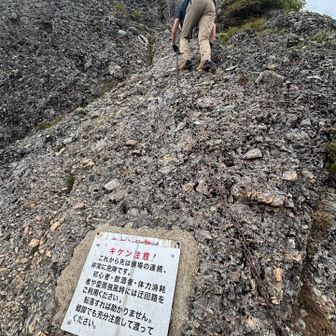 ⚠️危険⚠️