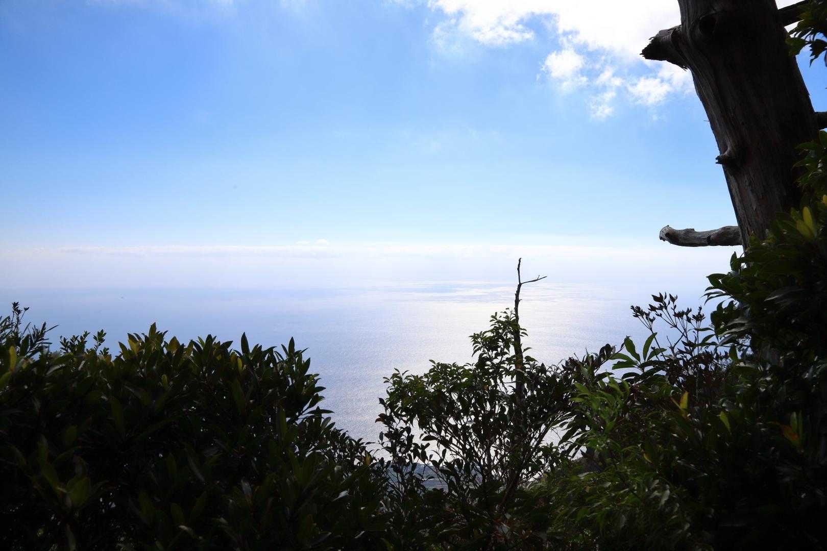 万代杉-モッチョム太郎-モッチョム岳 往復コースの写真