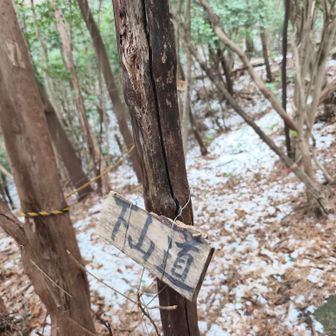 矢谷渓谷までの下山ルートは