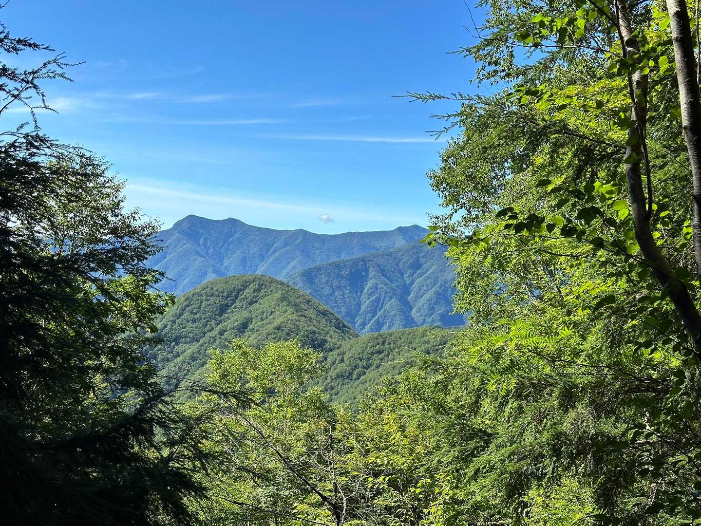 茶臼岳登山口-ヤレヤレ峠-茶臼岳-上河内岳 往復コースの写真