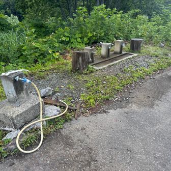 靴洗い場