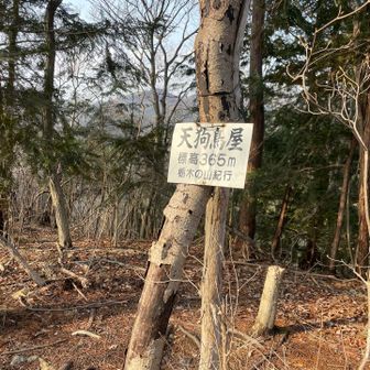 天狗鳥屋山山頂