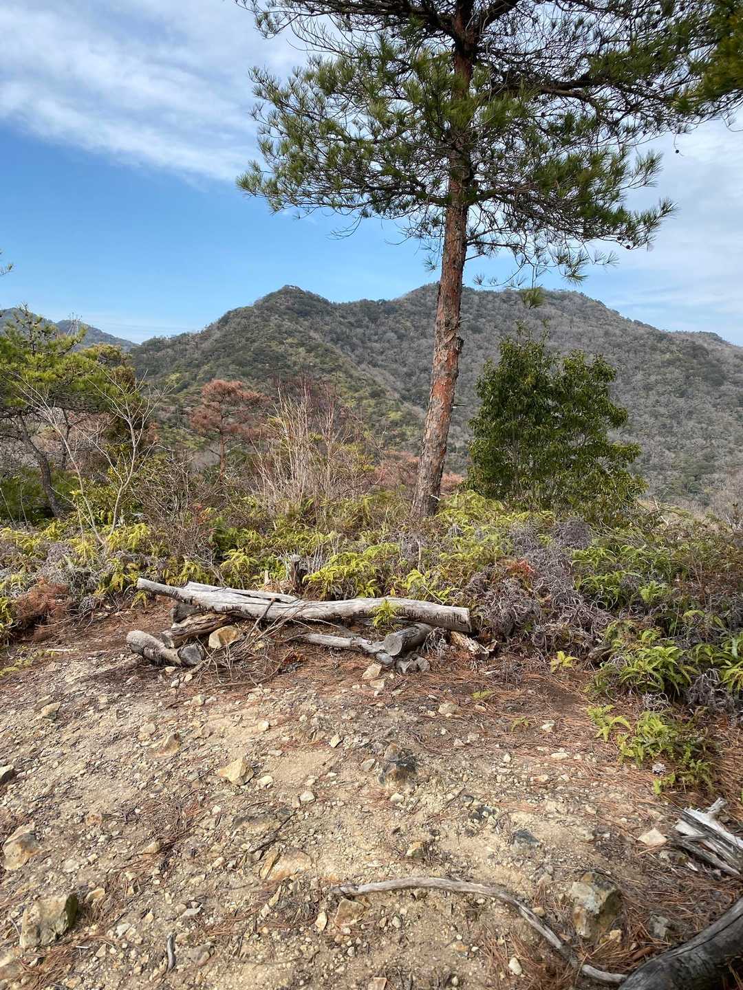 万石西尾根登山口-大唐国寺山-万石山-千石山-百石山-千石 縦走コースの写真