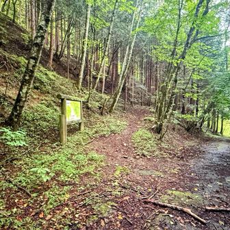 斜面を斜め下りして登山口です