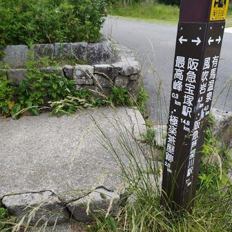 山頂直下、ここを入ると大きなトイレがあって、ちょうどよい休憩場所になります。