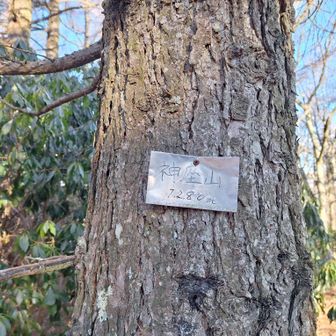 グレーピーク🩶【神座山】到着
手前で少し軌跡外れて藪と格闘しました🤣