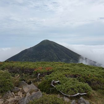 高田大岳までは
ものすごく藪漕ぎみたいなんで😂
冒険したいけど無理しない…