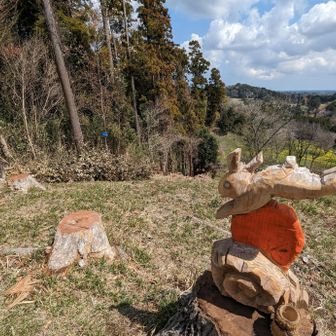 御十八夜山頂⛰️　「🐼財団統括本部」木板が新名所となりつつあるようです