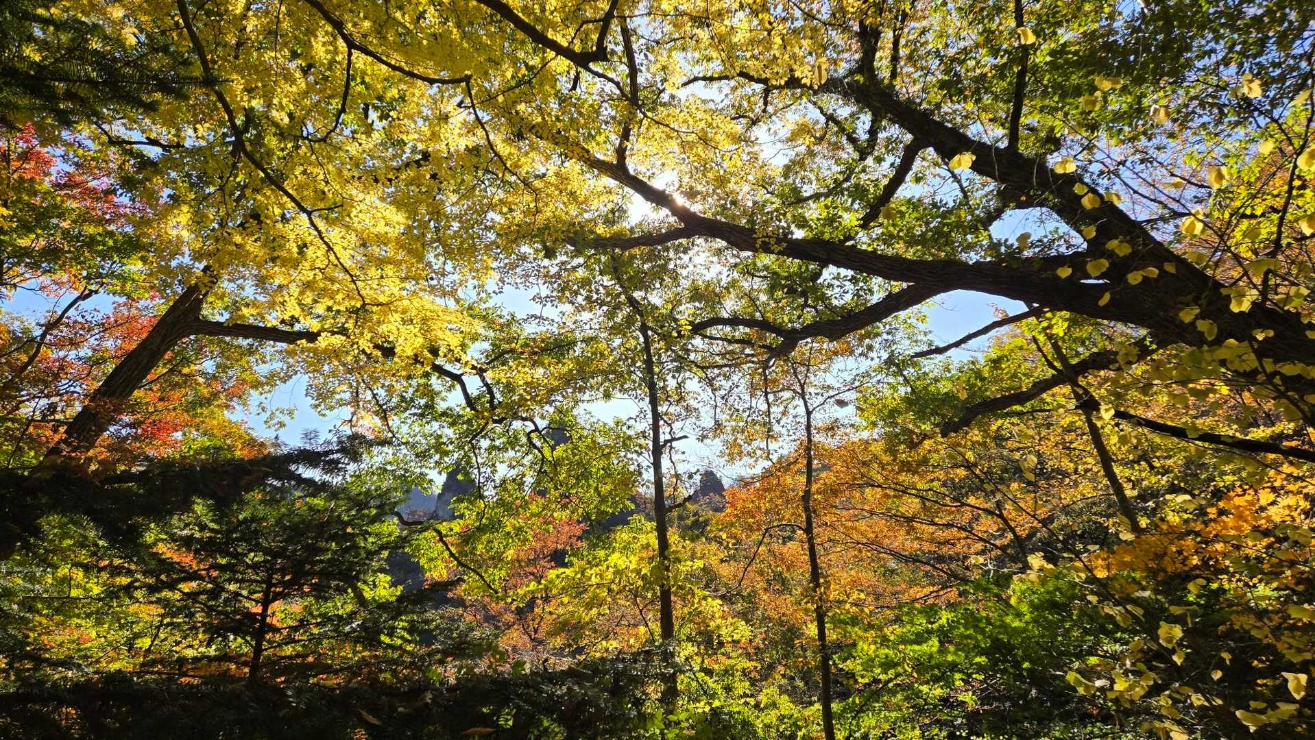 妙義山 往復コースの写真