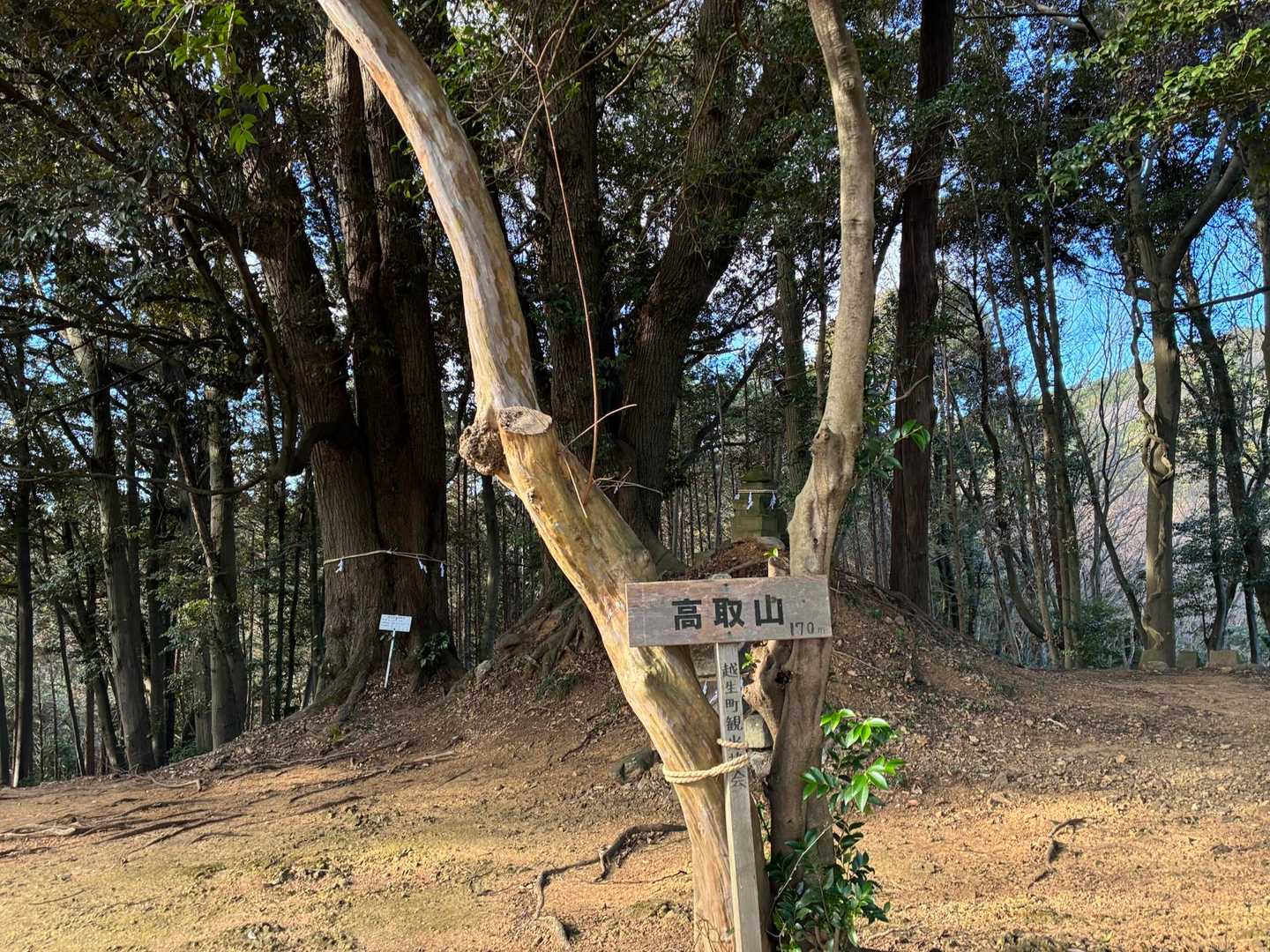 4ピーク目