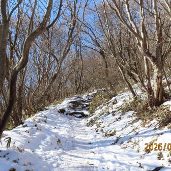 陽を浴びながらの登り。
気持ちいい。