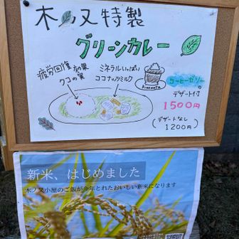 手作りグリーンカレー、これが食べたかった😋