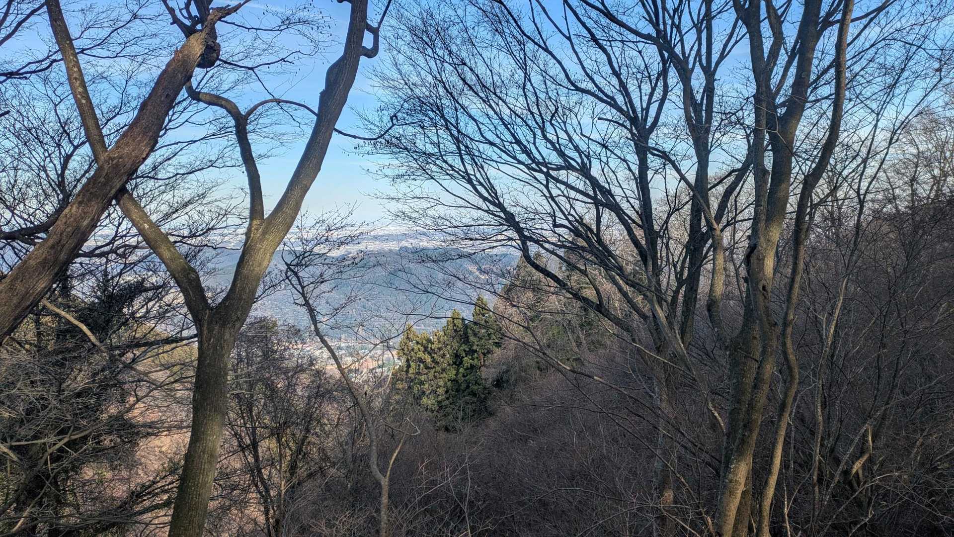 仏果山登山口バス停-宮ヶ瀬越-高取山 往復コースの写真