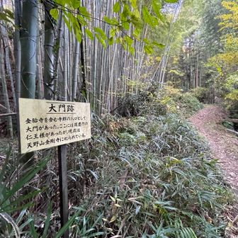 登り始めてすぐに大門跡🚪金胎寺を含む寺群と書かれています。ここにたくさんの寺があったんやなぁ、と不思議な感覚😅しかも運慶作の仁王さんまであったなんて🧌金剛寺に行かなくては🏃‍♂️‍➡️
