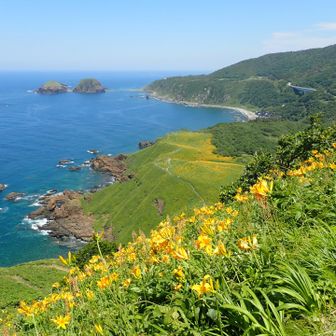 山頂からみた景色！最高です！