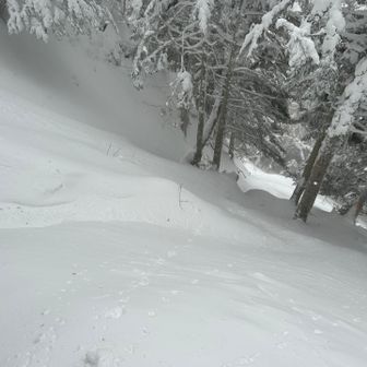 中山峠からの下り。写真だと斜度は感じないが、実際はどこ通ろうかと考える状態
