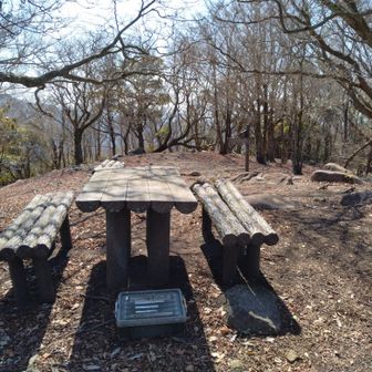 天気がよければここで食事も取れます