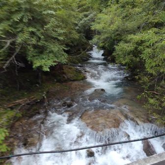 長雨でちょっと水量多いかな？