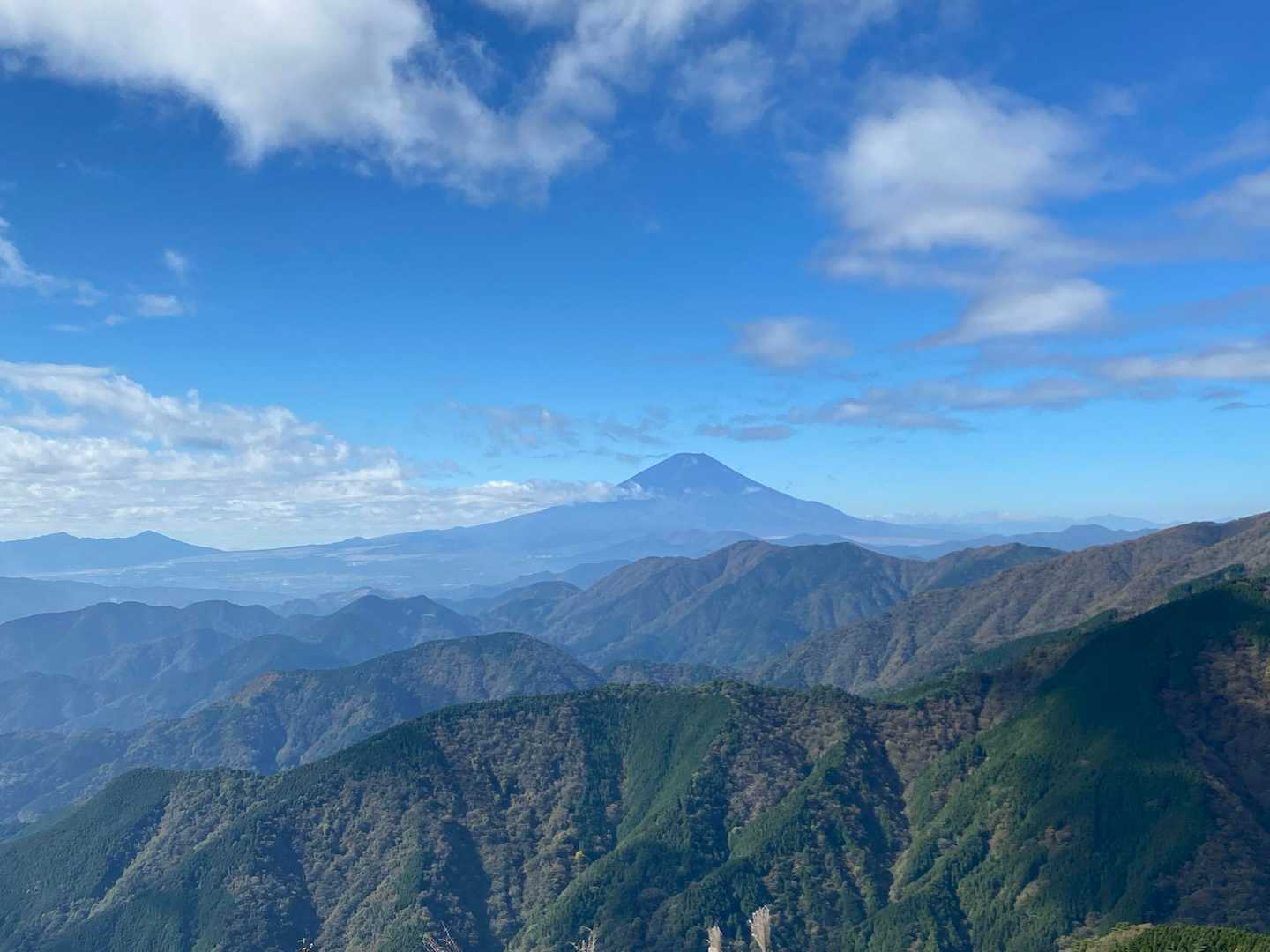 ヤビツ峠-三ノ塔-大倉バス停 縦走コースの写真