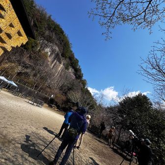 ハヤブサをカメラマンがとられていた