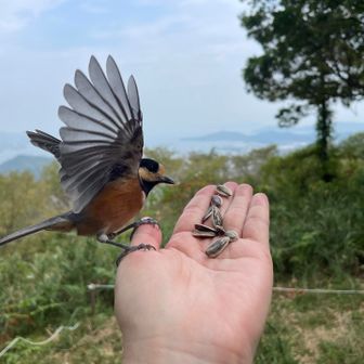 あっ、お盆でいつもより人が少ないのかも😊
