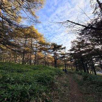 秋空！すっかり夕方。
