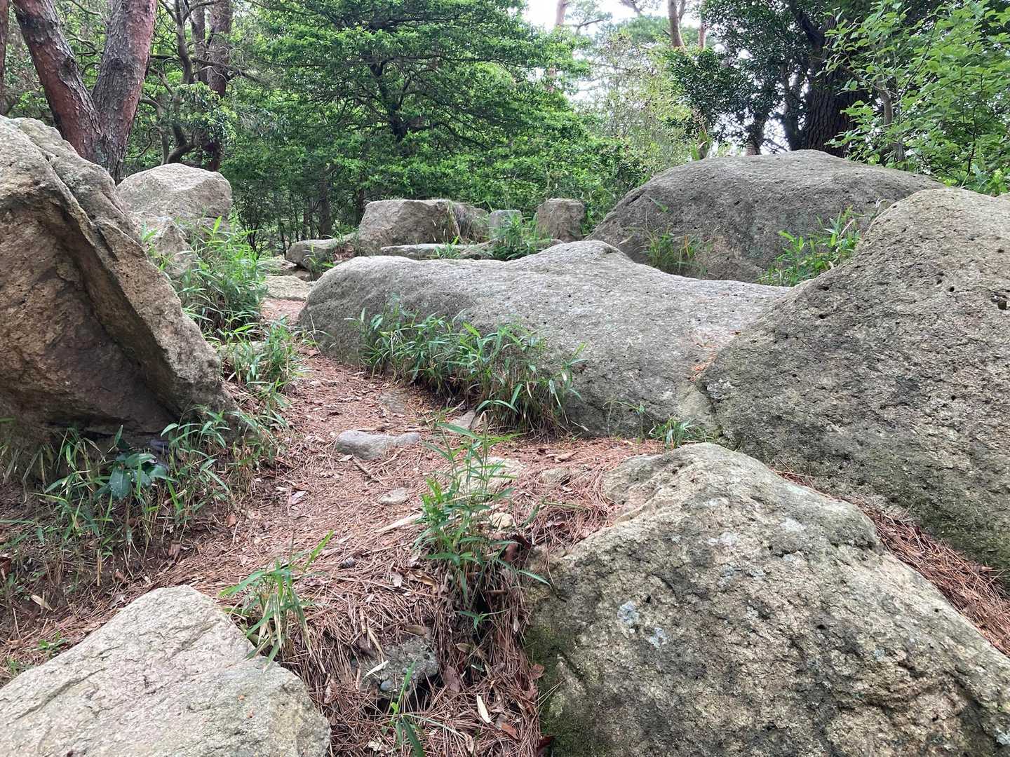 前方がこんもりして岩🪨が見えてきた。コレが山頂かな。⛰️