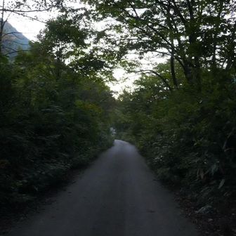 舗装道を歩いて・・・
左の茂みのすぐ向こうは、キャンプ場と駐車場。