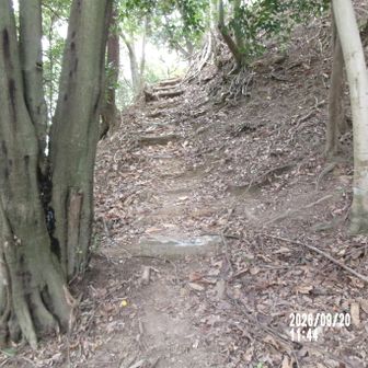 蓮華寺山最後の登り